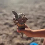 Fajen شقة *